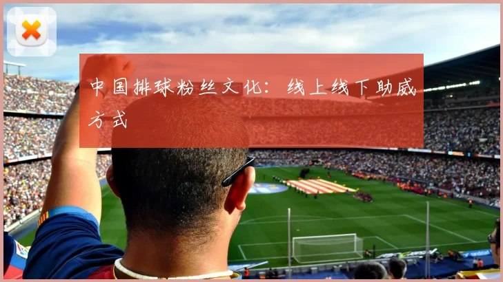 中国排球粉丝文化：线上线下助威方式