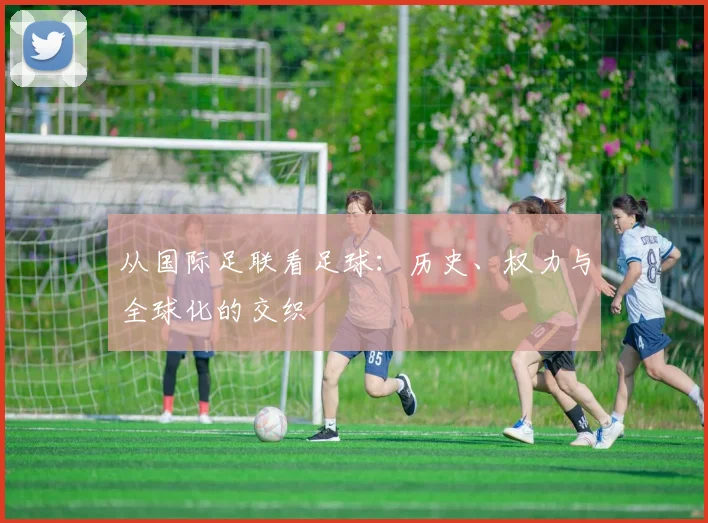 从国际足联看足球:历史、权力与全球化的交织