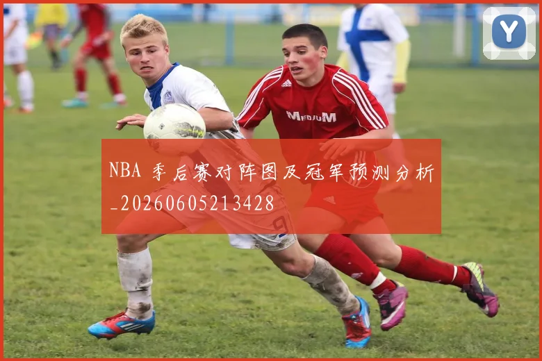 NBA 季后赛对阵图及冠军预测分析_20260605213428